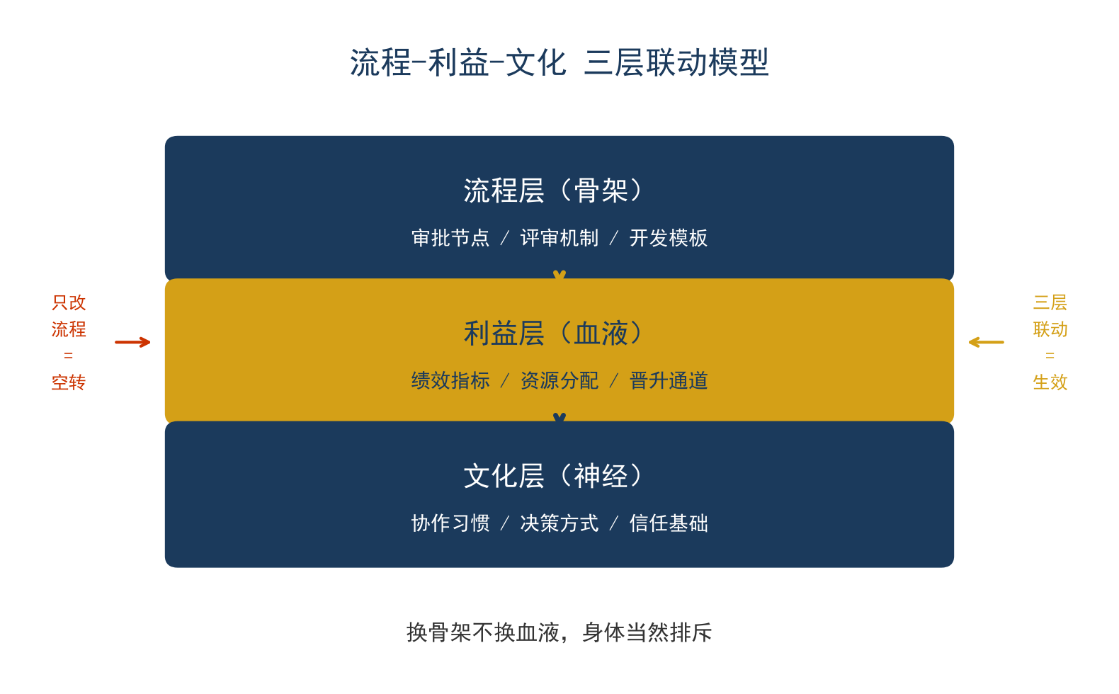 流程、利益与文化三层联动模型